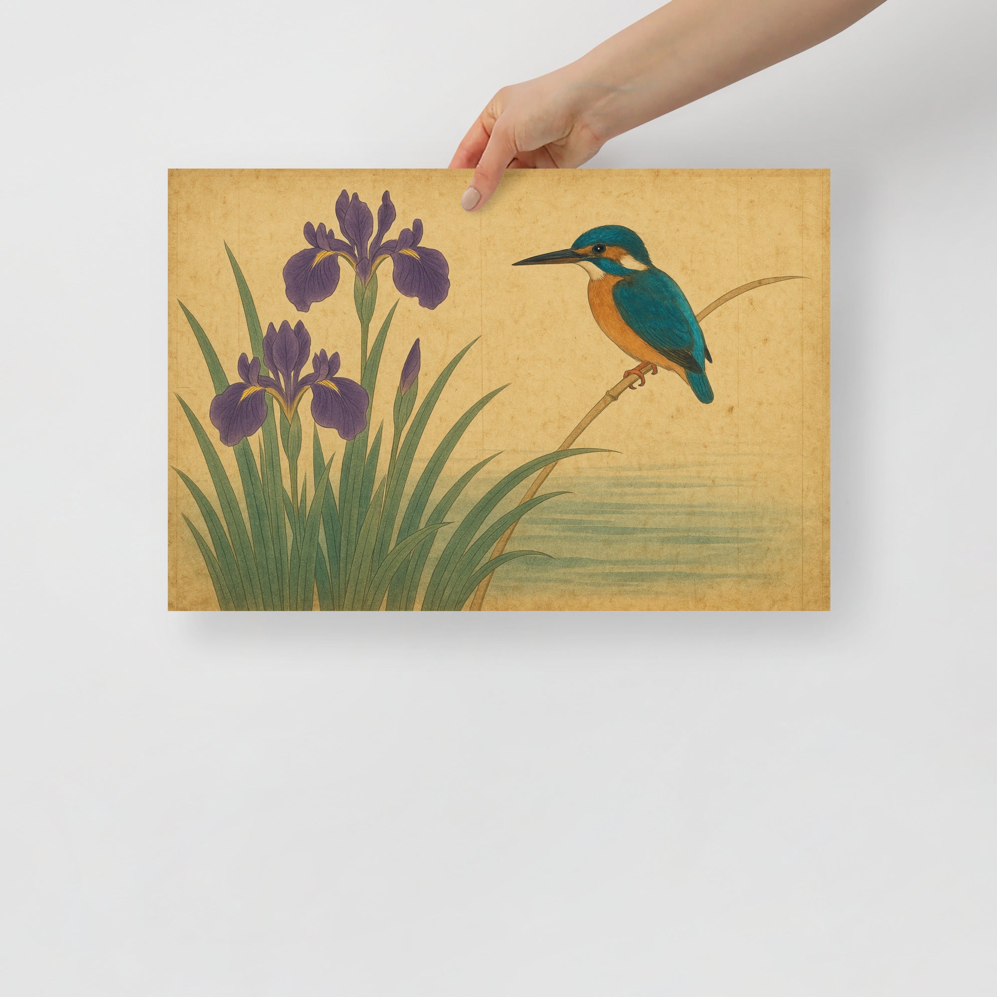 Kingfisher and Iris Poster – Japanese Kachō-ga Bird and Flower Art