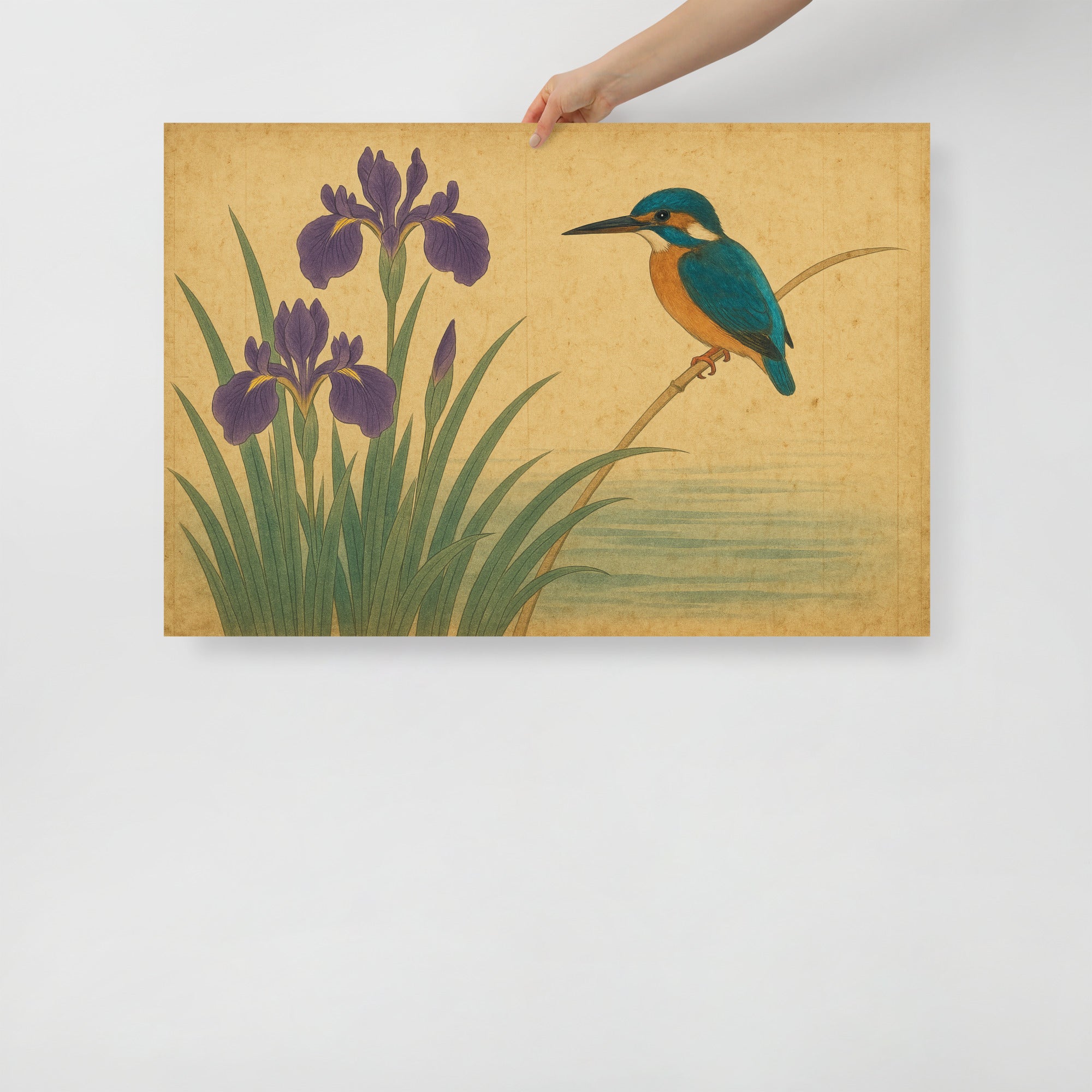 Kingfisher and Iris Poster – Japanese Kachō-ga Bird and Flower Art